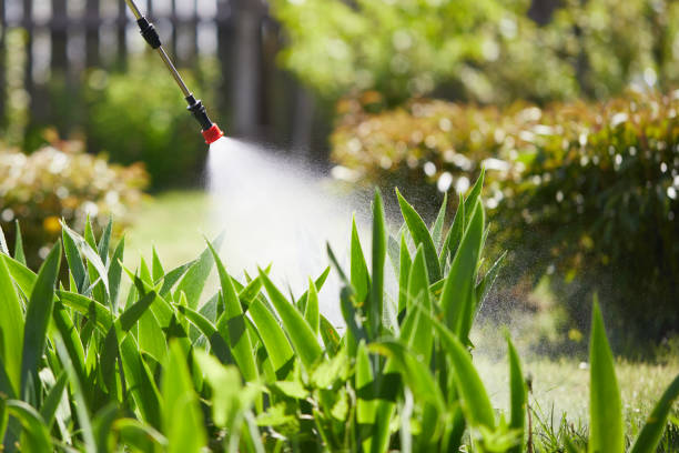 24/7 Emergency Mosquito Control experts in Cokato, MN